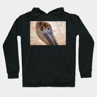 Brown Pelican Portrait Hoodie